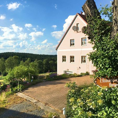 Spacious Apartment With Sauna In Schonsee Dietersdorf Exteriér fotografie